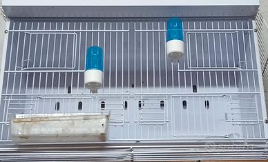 Gabbie Cova Professionale NEW CANARIZ