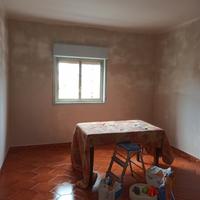 Imbianchino, muratore, indoratore, ecc