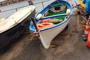 Gozzo in vetroresina m.4