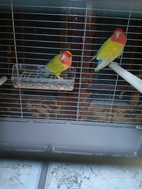 Palazzolo sull'Oglio