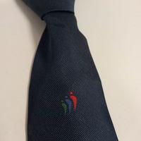 Cravatta banco popolare Originale per collezione