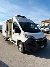 FIAT DUCATO 2.2 L2H2 FRIGO Del 2023