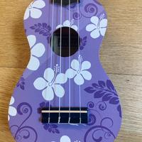 Ukulele per principianti