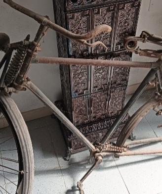 bicicletta anni 20