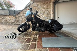 Harley davidson dyna street bob 103