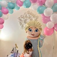 mascotte  di Elsa il regno di Frozen