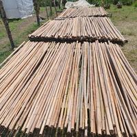 canne di bambu' 