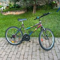 Bicicletta 24