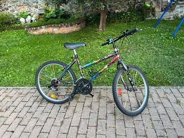 Bicicletta 24