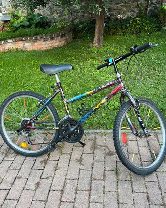 Bicicletta 24