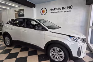 Peugeot 3008 BlueHDi 130 S&S Active Pack MANUALE