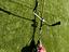Immagine 2