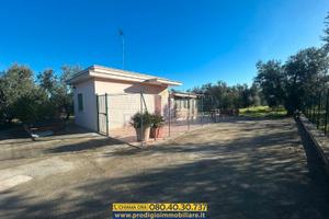 Graziosa villetta con veranda e terreno a Biscegli