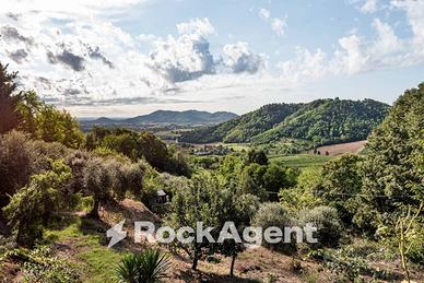 VILLA A TRAMONTE DI TEOLO