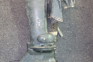 Piede Evinrude