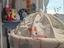 Immagine 2