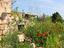 Immagine 11