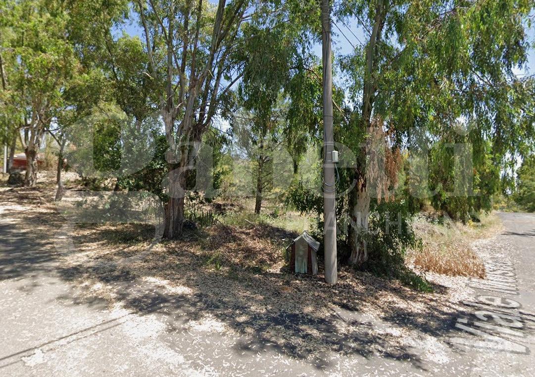 Terreno Agricolo Belpasso [Cod. rif GS014VCG] - Vista 5