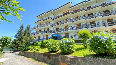 Appartamento - Roccaforte Mondovì