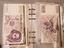 Immagine 5