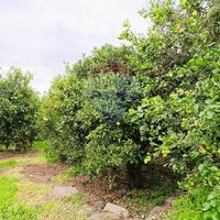 Terreno Edificabile - Riposto