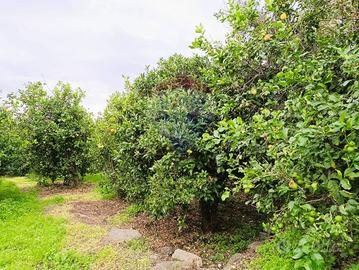 Terreno Edificabile - Riposto