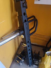 Power arms 2.0 - Lacertosus 