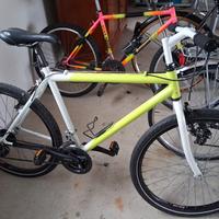 Biciclette da Uomo