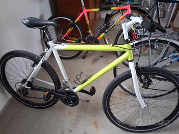 Biciclette da Uomo