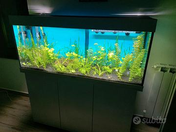 Acquario Juwel 250 litri completo