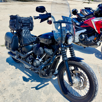 Harley davidson fxbbs softail street bob 114 2021