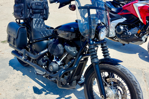 Harley davidson fxbbs softail street bob 114 2021