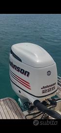 Fuori bordo jonson 225cv