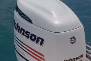 Fuori bordo jonson 225cv