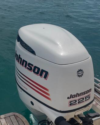 Fuori bordo jonson 225cv