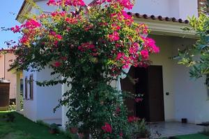 Villa Pierina - Tanaunella