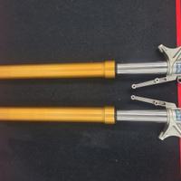 Forcella anteriore Ohlins Ducati Multistrada 1200s