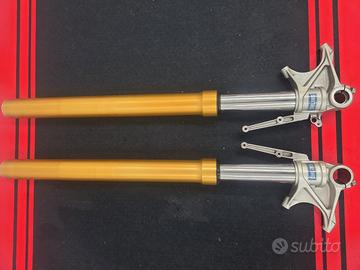 Forcella anteriore Ohlins Ducati Multistrada 1200s