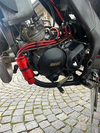 CMC Regolarità 50 - 2012