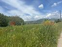 terreno-agricolo-anagni-cod-rif-3234159vcg-