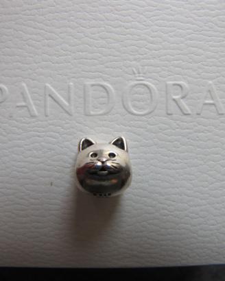 Charm Pandora