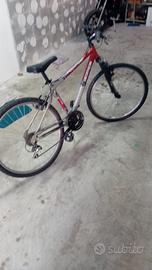 Bicicletta