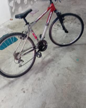 Bicicletta
