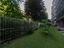 Immagine 29