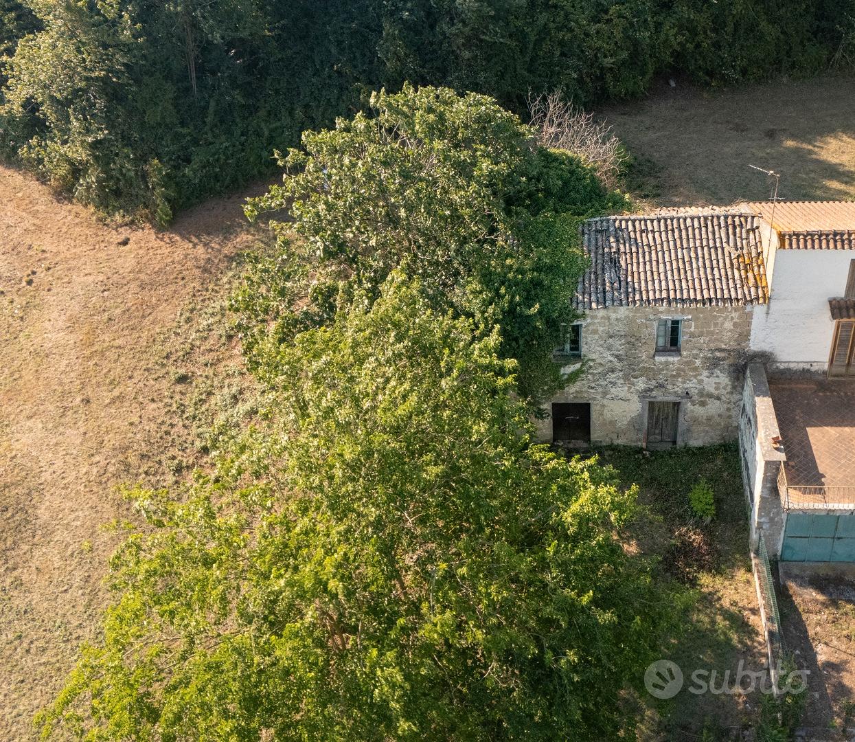 Terreno 5.000 mq con rustico, panoramico. - Vista 5
