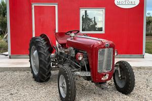 Trattore Massey Ferguson MF 35