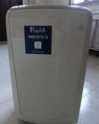 condizionatore pinguino DeLonghi