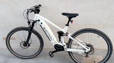 E-Motion Explorer T29 48V 250