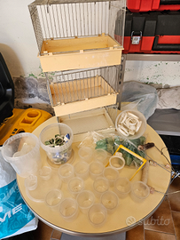 Accessori uccellini bengalini diamantini canarini