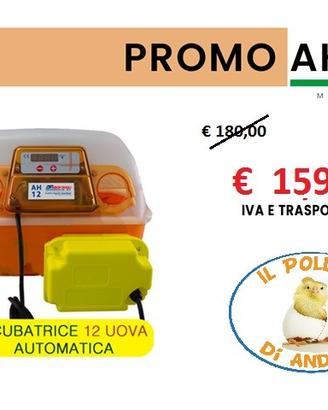 Incubatrice